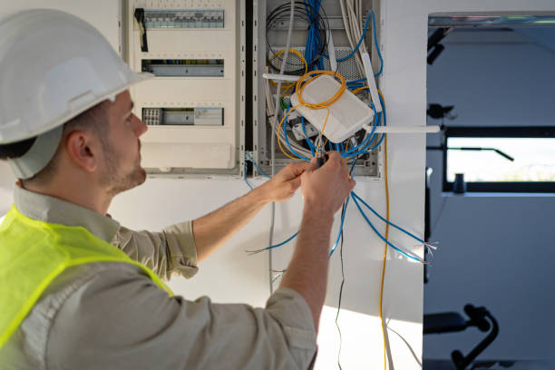 Best Electric Panel Repair  in Cape Girardeau, MO